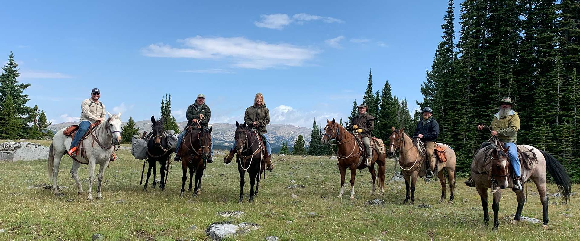 Horsemanship Clinics