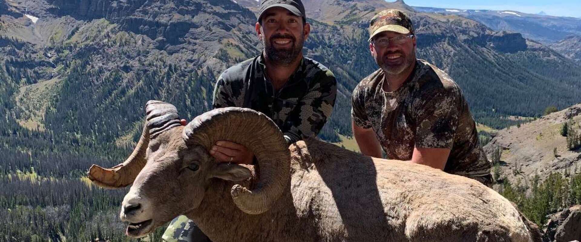 Bighorn Sheep Hunts