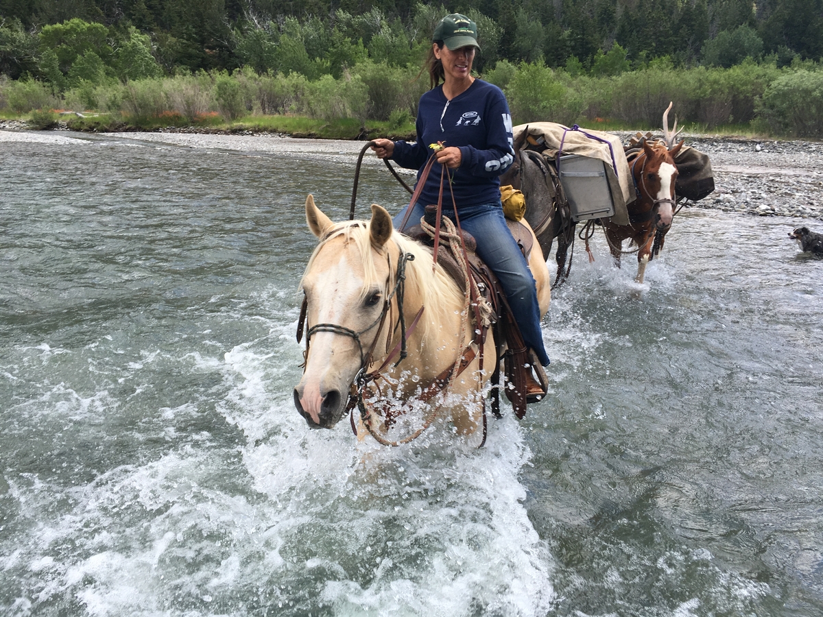 HORSEMANSHIP CLINICS