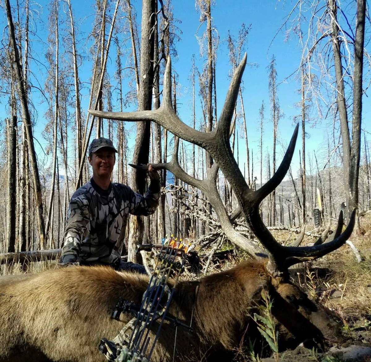 Page 2/2 - Wapiti Ridge Outfitters ELK Photo Gallery