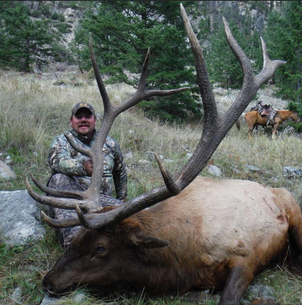 Wapiti Ridge Outfitters ELK Photo Gallery