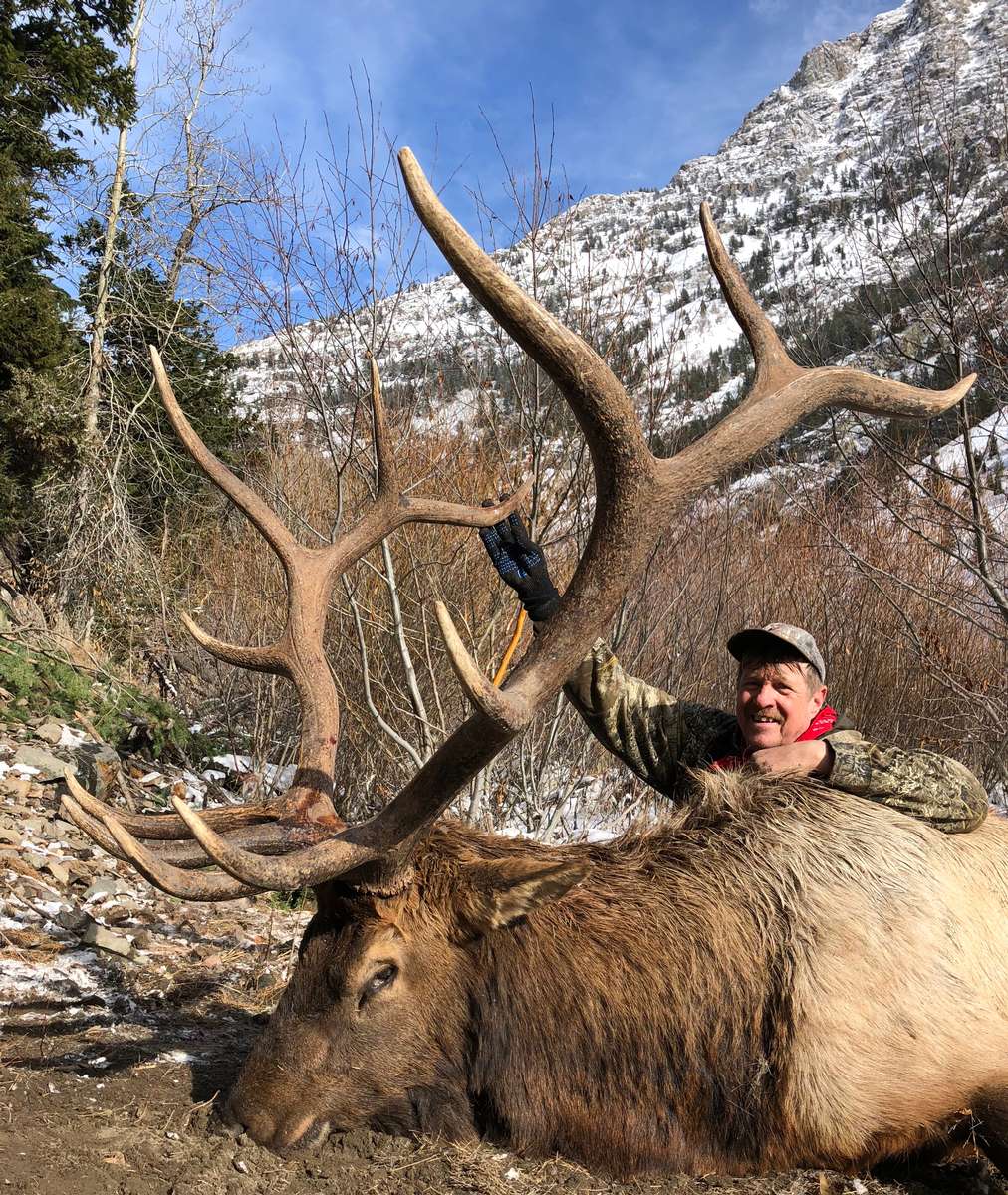 Wapiti Ridge Outfitters ELK Photo Gallery