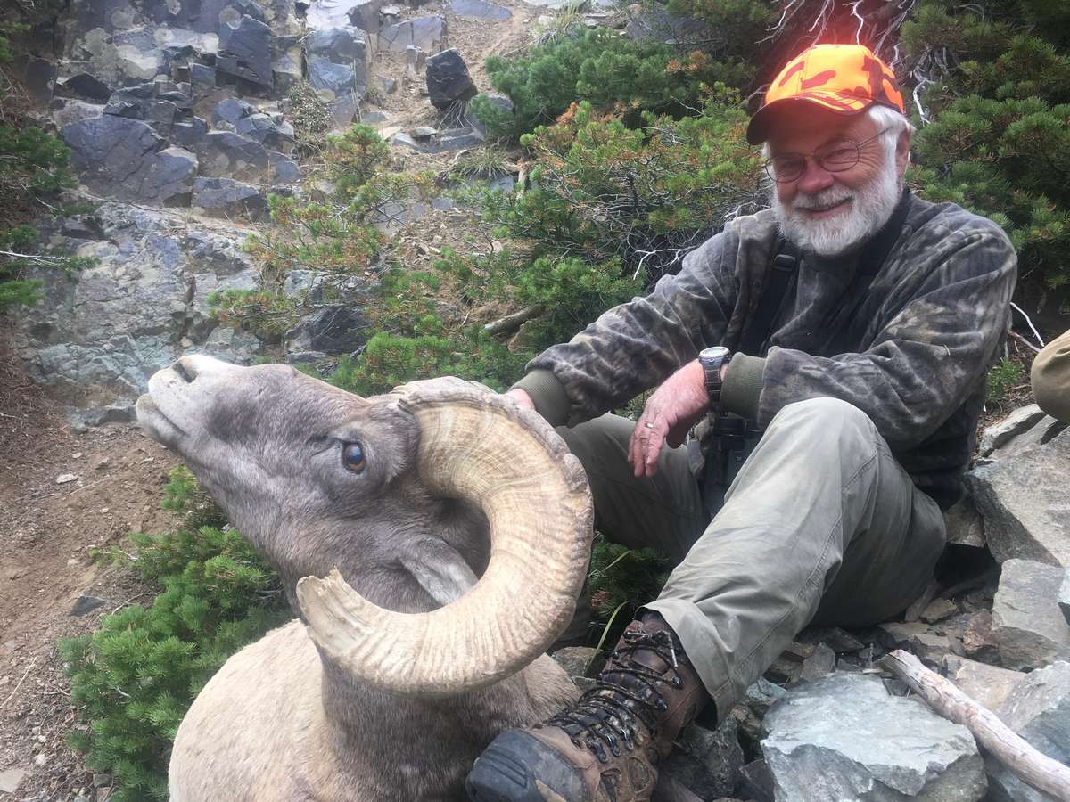 Wapiti Ridge Outfitters SHEEP Photo Gallery