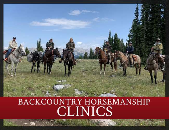 Take a Horsemanship Clinic with Wapiti Ridge Outfitters